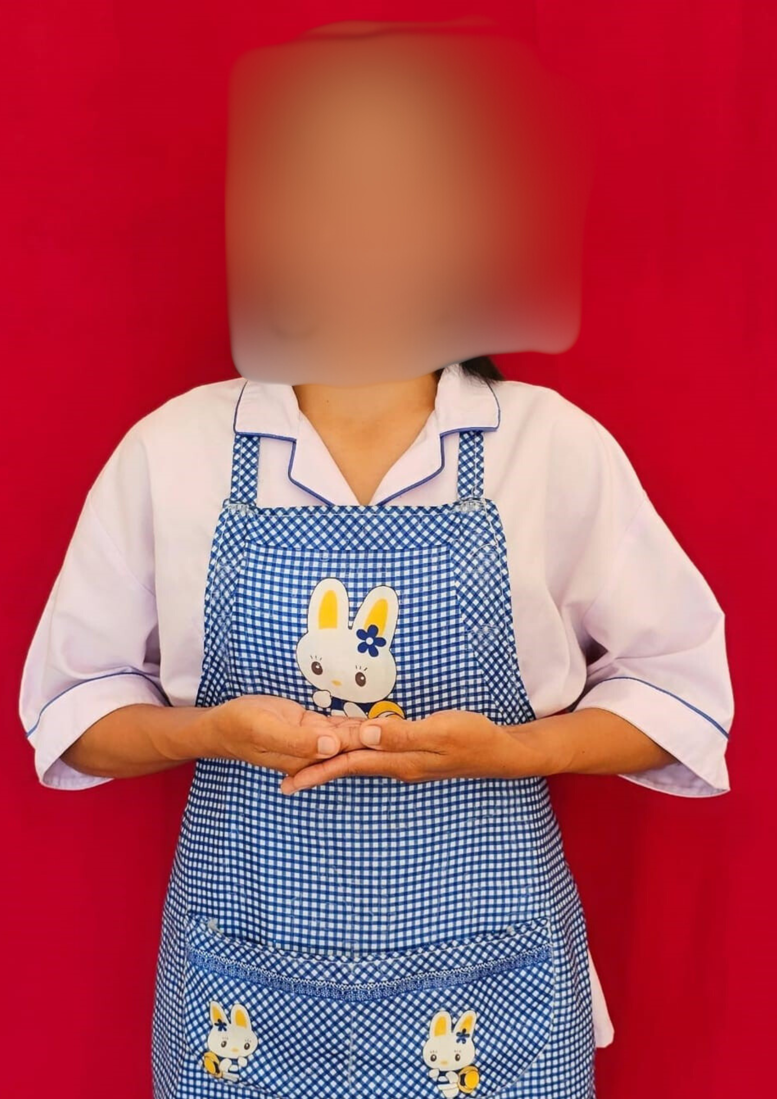 Example Half-Body Photo: Waist-up, plain background, neat clothes