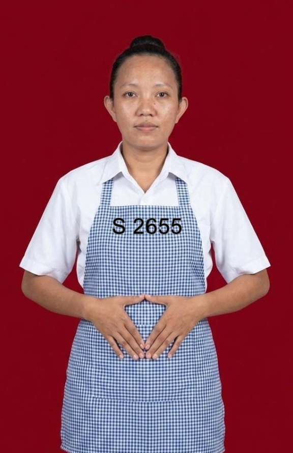 Helper or Maid